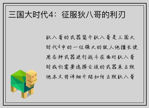 三国大时代4：征服狄八哥的利刃